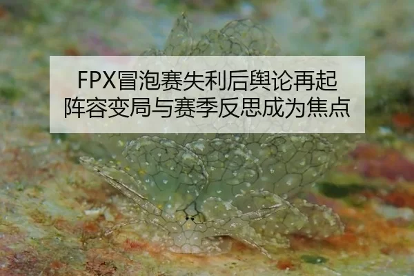 FPX冒泡赛失利后舆论再起 阵容变局与赛季反思成为焦点